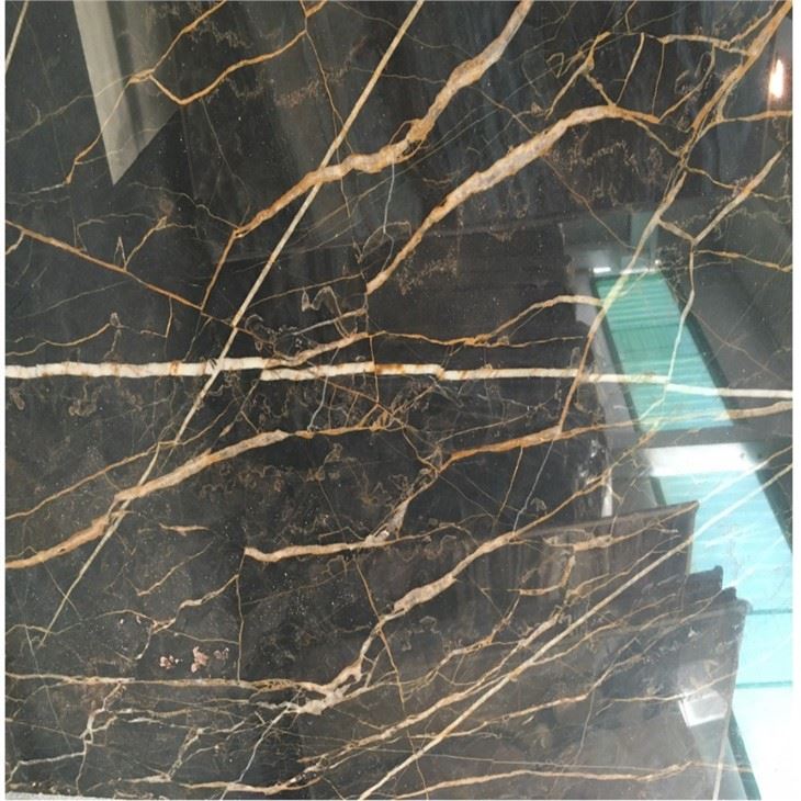 Noir St Laurent Marble Slab